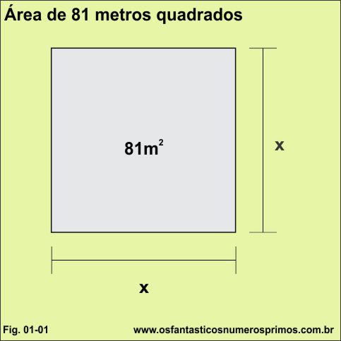 cálculo de área e perímetro de terreno - área de 81 metros quadrados