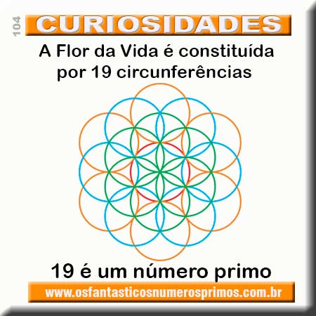 curiosidades e números primos - Flor da Vida