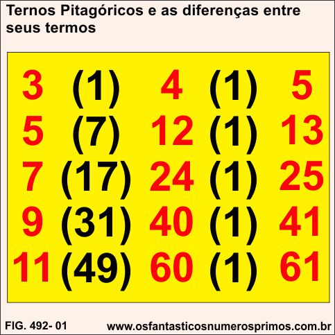 Ternos Pitagóricos Primitivos e as diferenças entre seus termos